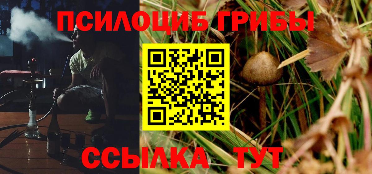 Галлюциногенные грибы мицелий  Вход с VPN  Чапаевск 